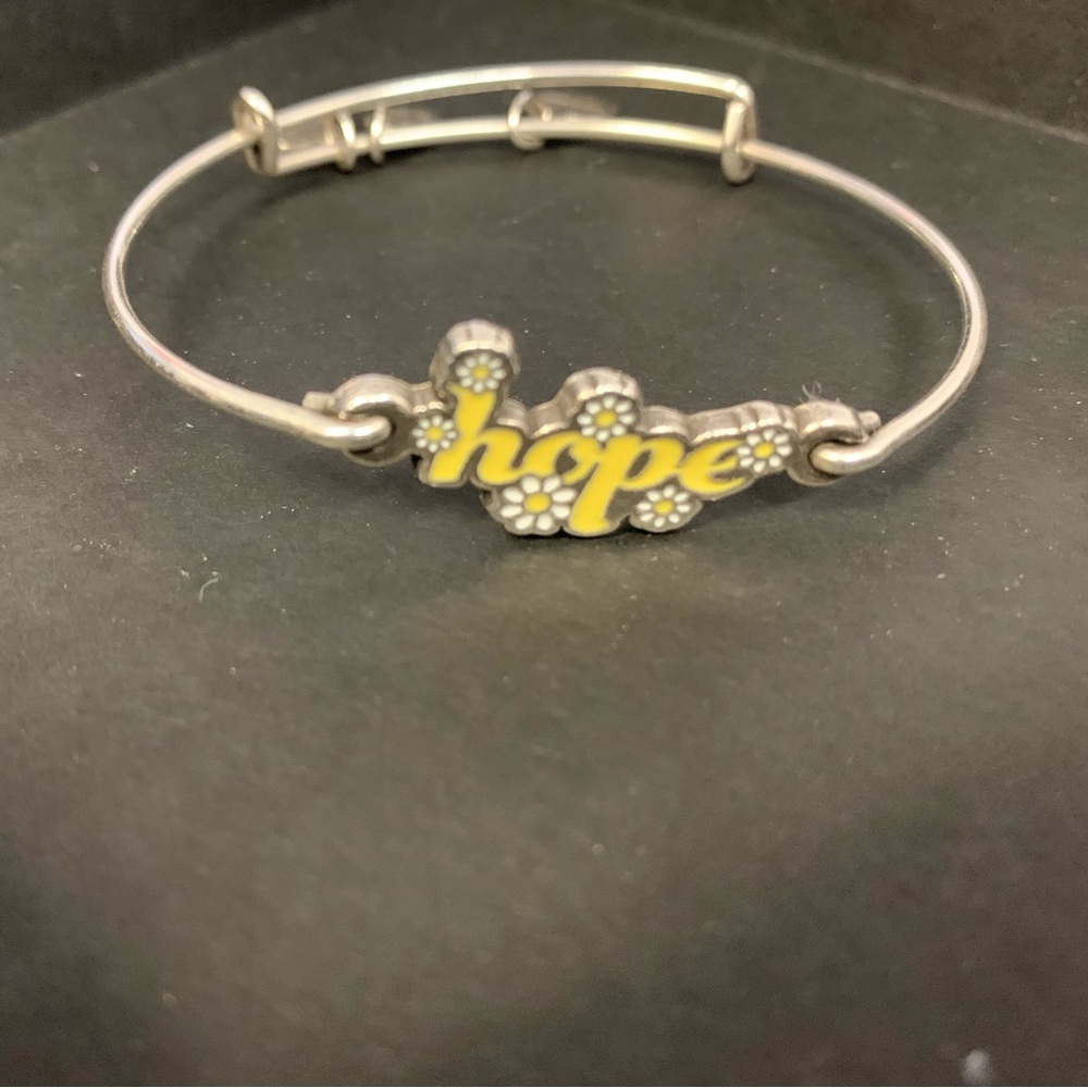 Hope Alex and Ani Bracelet